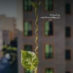 دانلود آهنگ به تو نمیرسه صدام انقدر خستم از آرون
